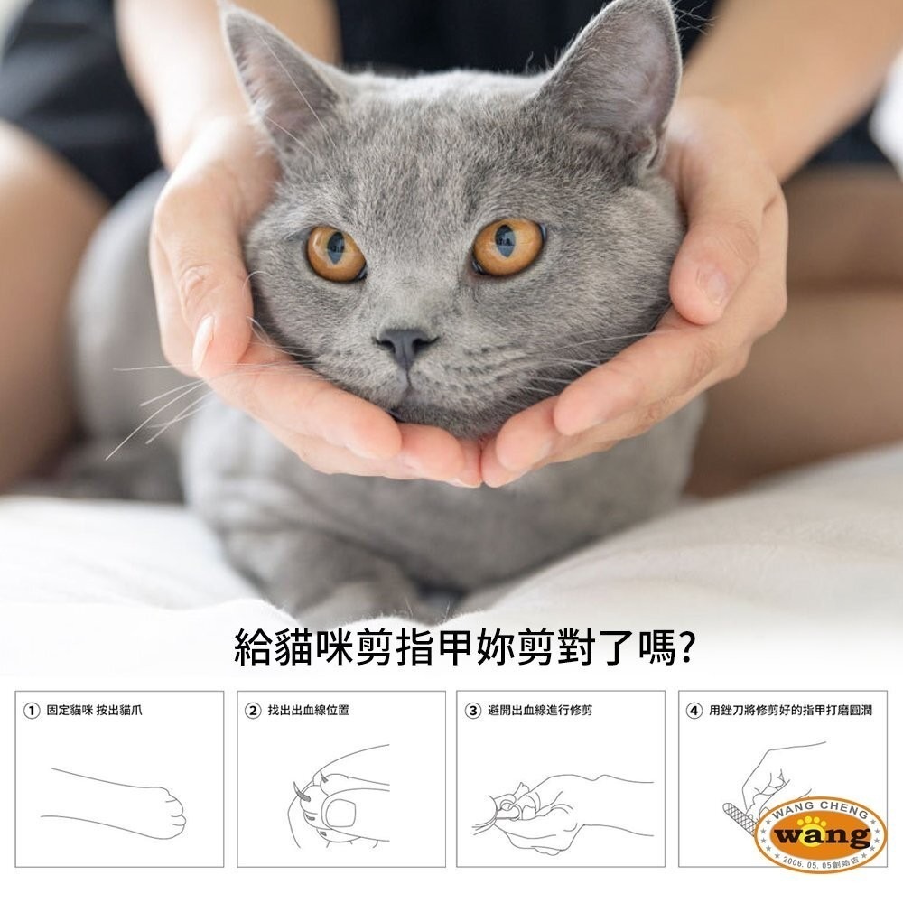 icat 寵喵樂 貓咪指甲剪 現貨 日本獸獸貓指甲剪 啵啵貓咪指甲剪 硬度升級 堅固耐用『林口旗艦店』-細節圖9