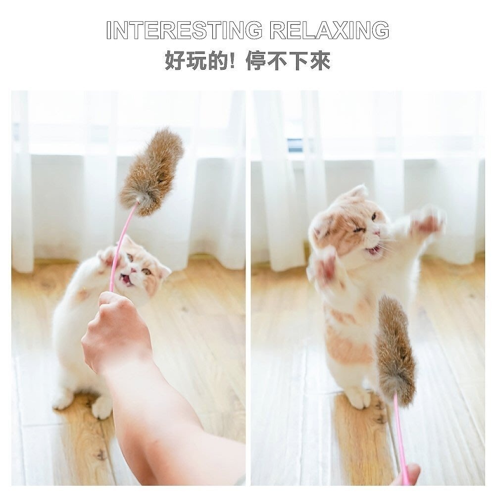 🔥特價下殺🔥icat 寵喵樂 貓咪逗貓棒 彩色羽毛｜ 彩帶流蘇｜ 豹紋款 逗貓棒 不挑顏色 隨機出貨『林口旗艦店』-細節圖4