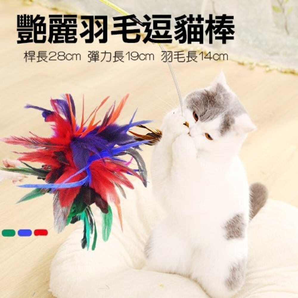 🔥特價下殺🔥icat 寵喵樂 貓咪逗貓棒 彩色羽毛｜ 彩帶流蘇｜ 豹紋款 逗貓棒 不挑顏色 隨機出貨『林口旗艦店』-細節圖5