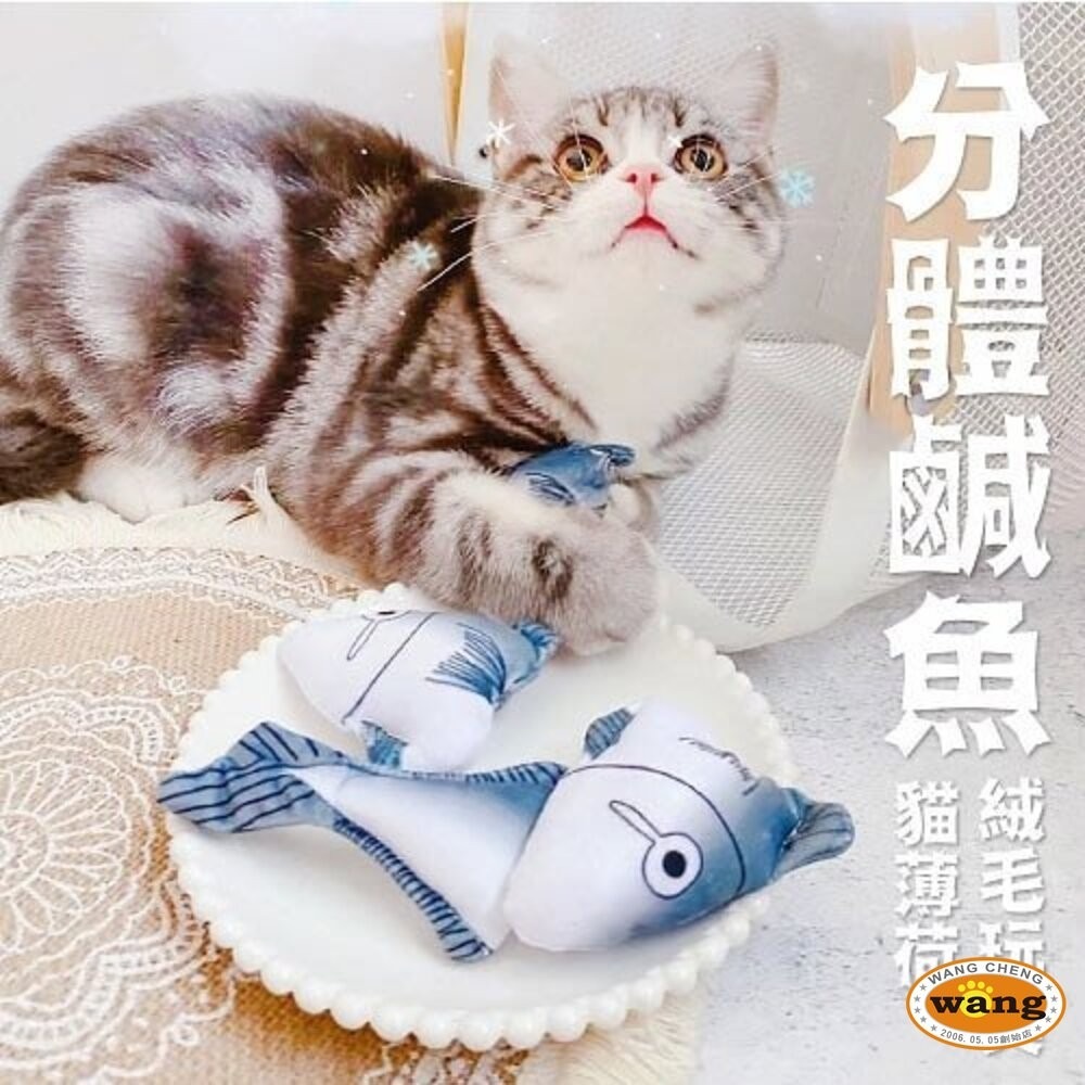 icat 寵喵樂 貓草玩具 水果/熱帶魚/兔兔/月餅/章魚燒/逗貓玩具 貓薄荷 貓草玩具 隨機出貨『林口旗艦店』-細節圖10