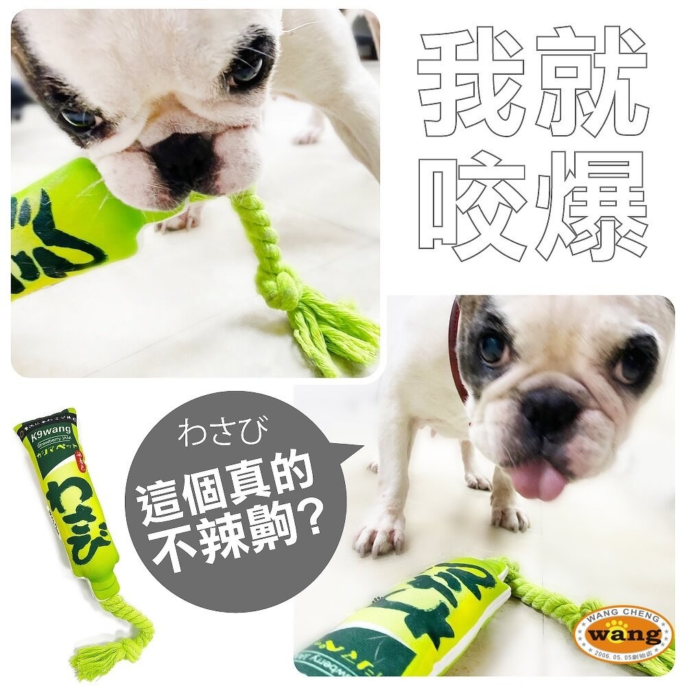 icat 寵喵樂 犬貓玩具 K9wang 帶繩調味棒寵物玩具 貓草玩具 韓國零食玩具 貓玩具 狗玩具『林口旗艦店』-細節圖5