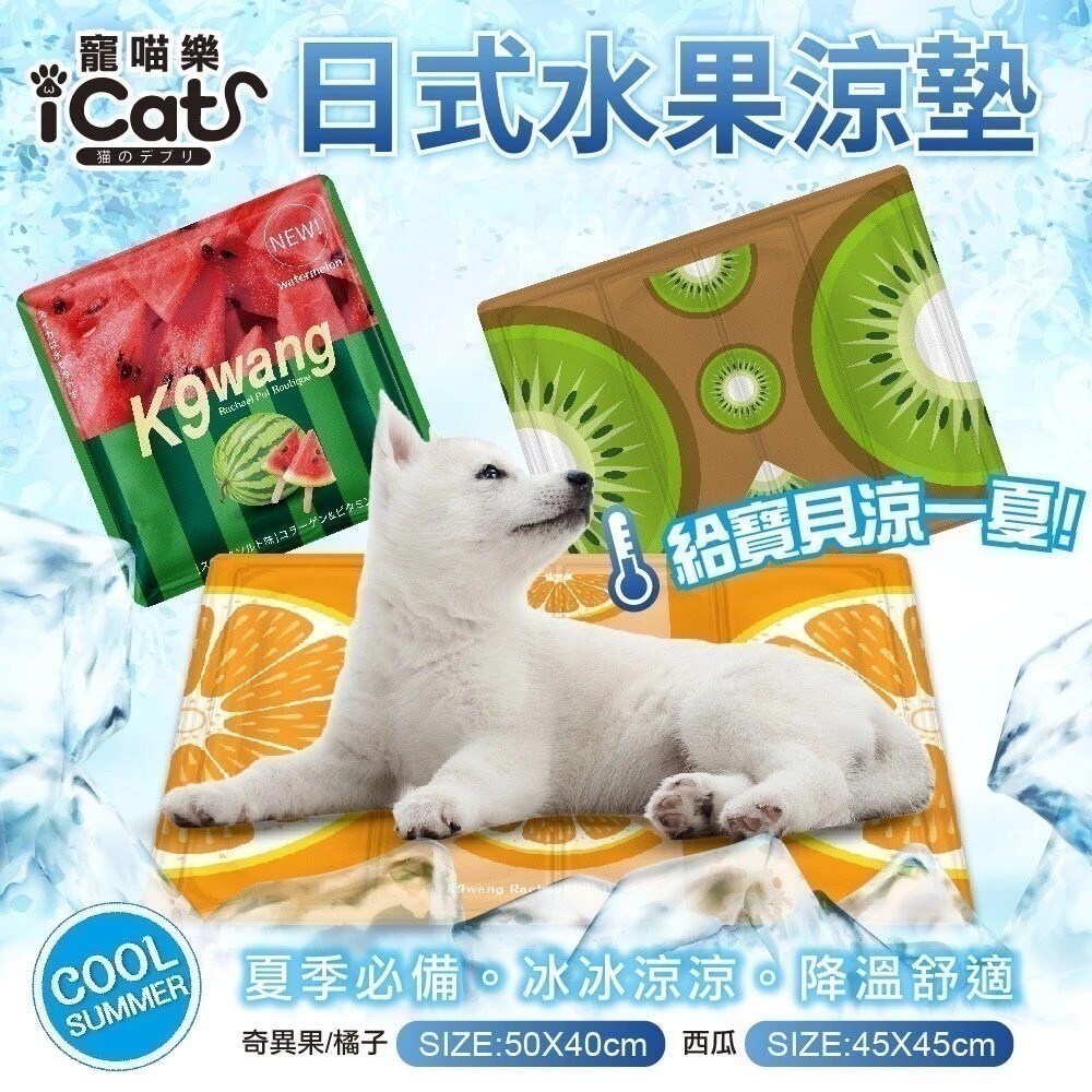 🔥現貨出清🔥icat 寵喵樂 貓隧道 超厚實睡床 花開富貴睡窩XL 犬貓睡床 睡墊   售完不補『林口旗艦店』-細節圖3
