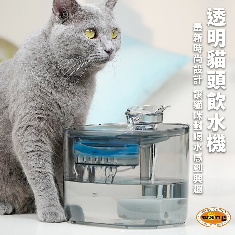 LIFE Pet 透明貓頭流水飲水器2.2L FT666透 附濾芯|餵水器 寵物飲水機 貓咪飲水機 貓狗通用-細節圖3