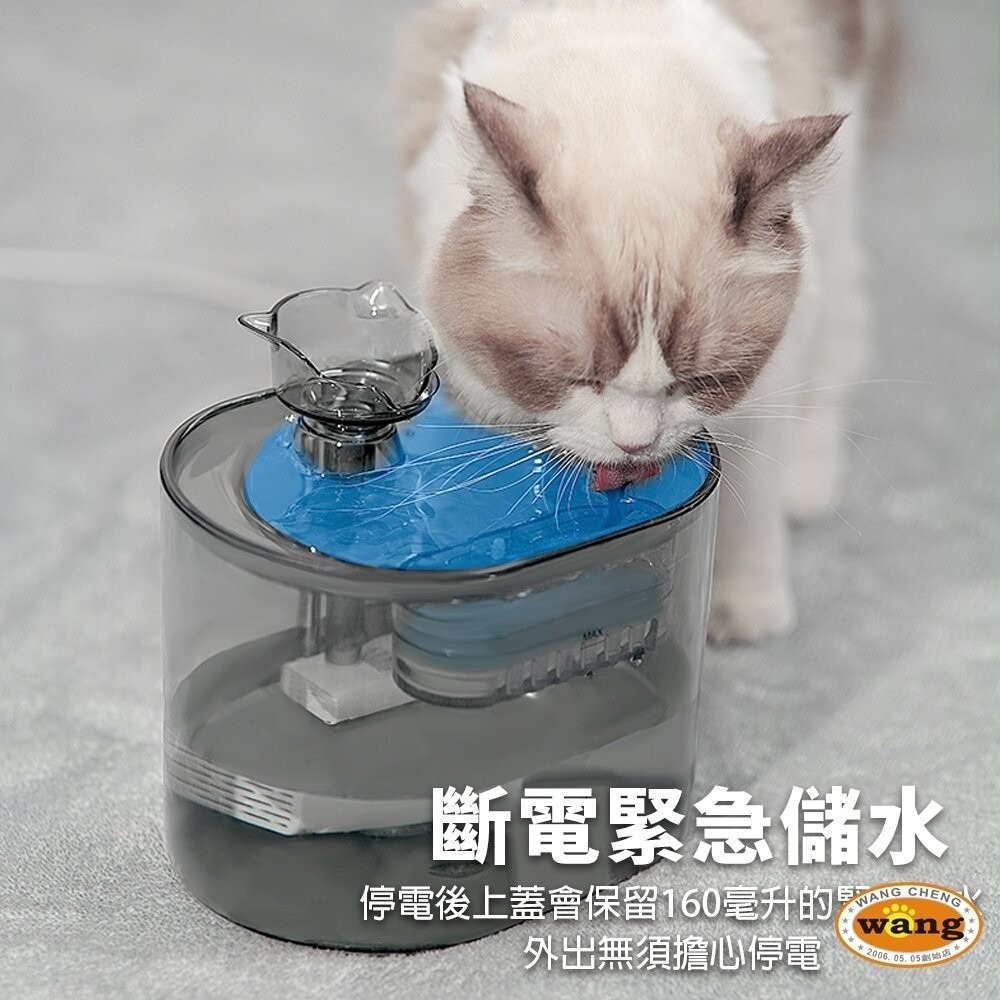 LIFE Pet 透明貓頭流水飲水器2.2L FT666透 附濾芯|餵水器 寵物飲水機 貓咪飲水機 貓狗通用-細節圖8