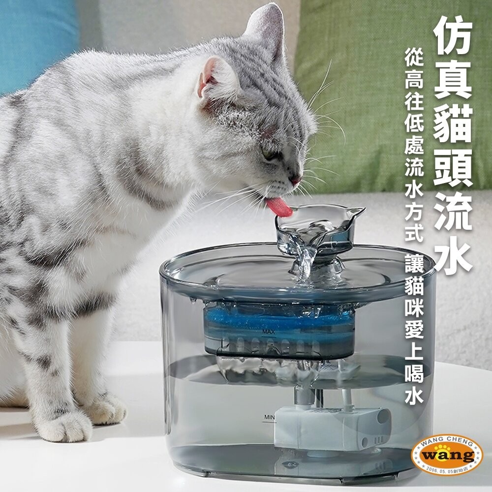 LIFE Pet 透明貓頭流水飲水器2.2L FT666透 附濾芯|餵水器 寵物飲水機 貓咪飲水機 貓狗通用『WANG』-細節圖4