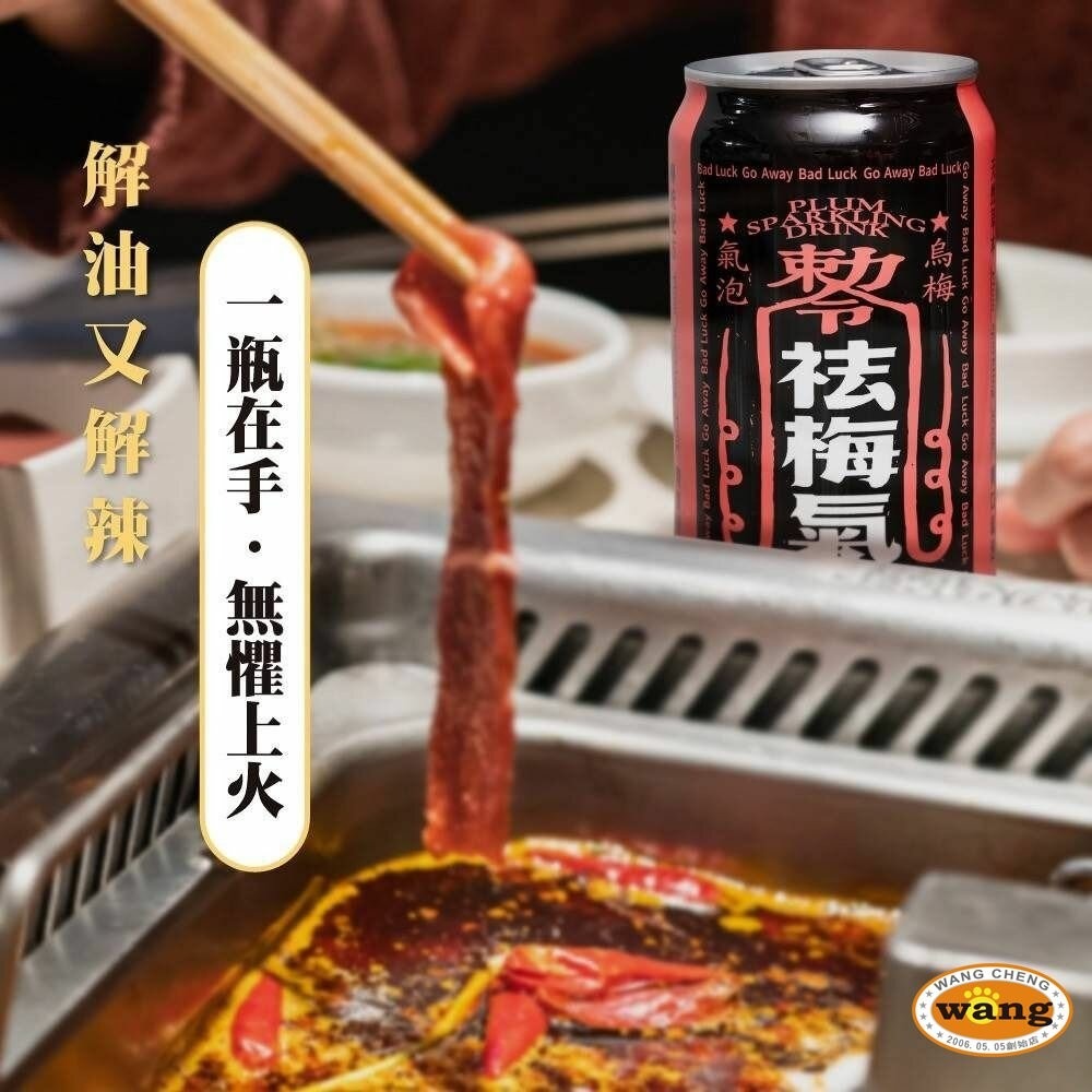 祛梅氣 烏梅氣泡飲【單罐】每罐330ml  氣泡飲料 解膩 汽水 烏梅汽水 碳酸飲料『林口旗艦店』-細節圖4