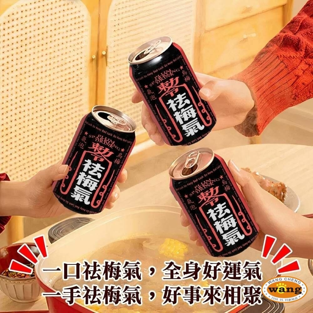 祛梅氣 烏梅氣泡飲【單罐】每罐330ml  氣泡飲料 解膩 汽水 烏梅汽水 碳酸飲料『林口旗艦店』-細節圖9