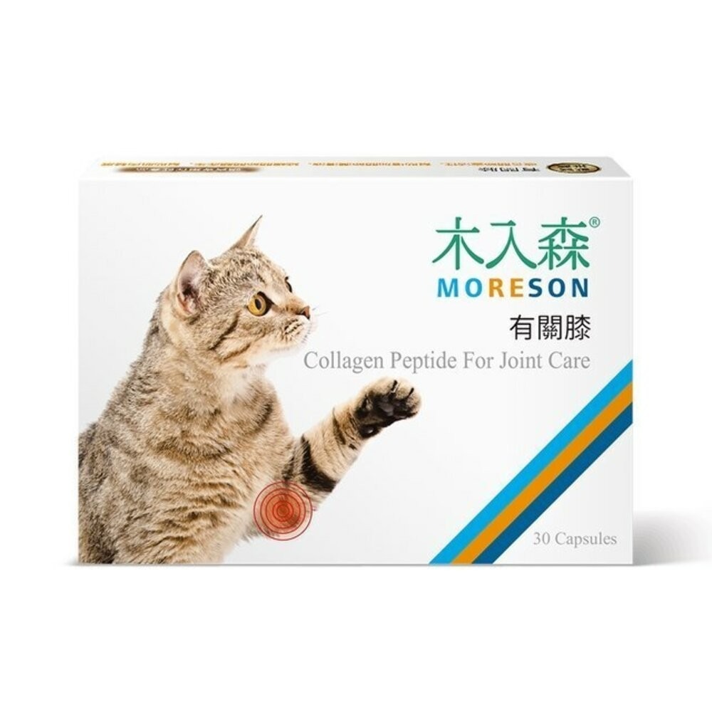 Moreson 木入森 貓咪營養品 保腎利/膚立好/護疫升/有關膝/好規泌/排毛粉/益生菌固齒麗口滴劑『旺城寵物』-規格圖9