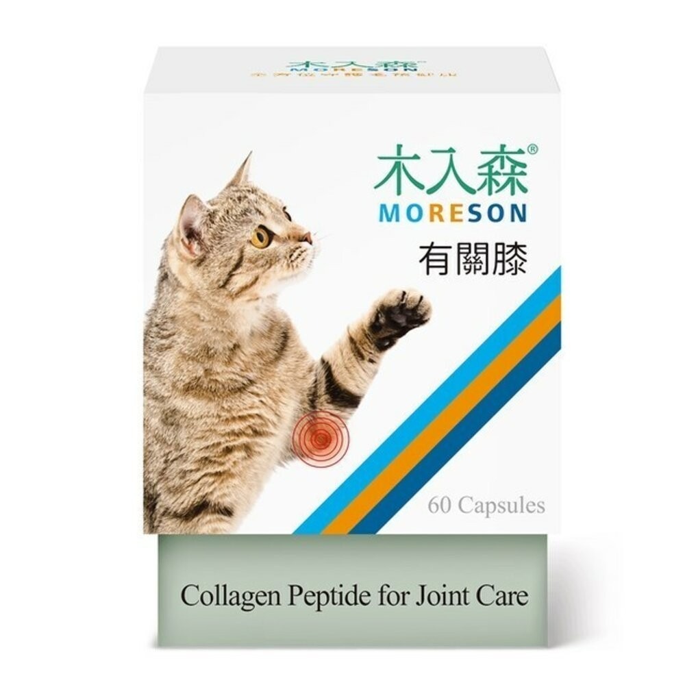 Moreson 木入森 貓咪營養品 保腎利/膚立好/護疫升/有關膝/好規泌/排毛粉/益生菌固齒麗口滴劑『旺城寵物』-規格圖9