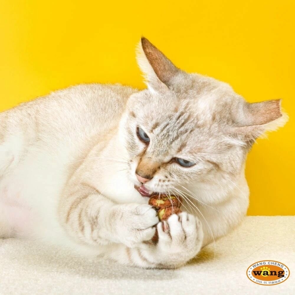 LitoMon 怪獸部落 怪獸卡滋KAZZZ 快樂凍乾蟲癭果 犬貓凍乾零食 狗零食 貓零食『林口旗艦店』-細節圖8