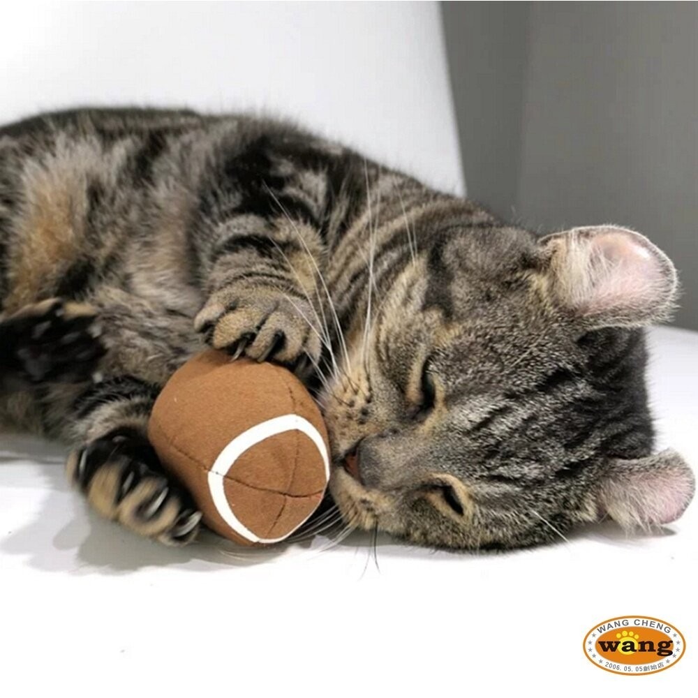 CATWANT 貓咪旺農場 木天蓼填充貓玩具｜兔子踢 貓抱枕 100%貓薄荷 貓玩具『林口旗艦店』-細節圖4