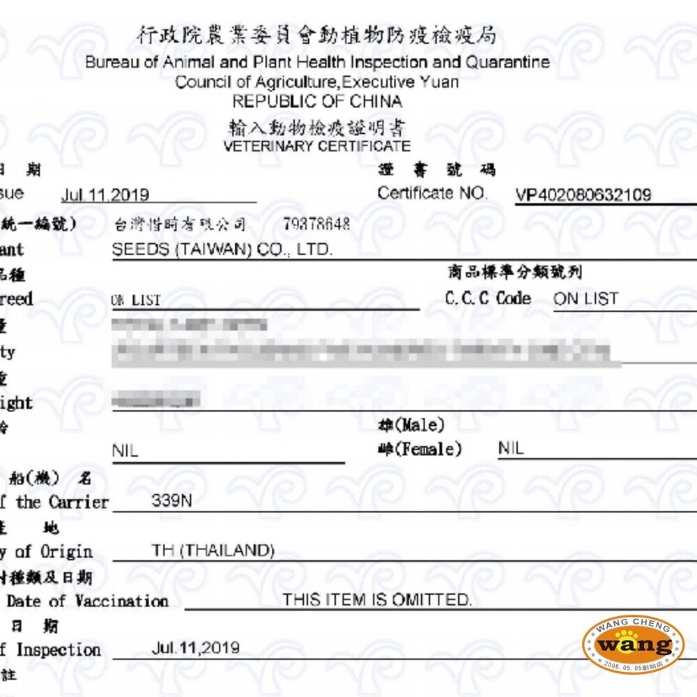 SEEDS 惜時 聖萊西 黃金喵喵日記營養綜合餐罐【單罐】 170g 喵喵日記 貓罐頭『林口旗艦店』-細節圖5