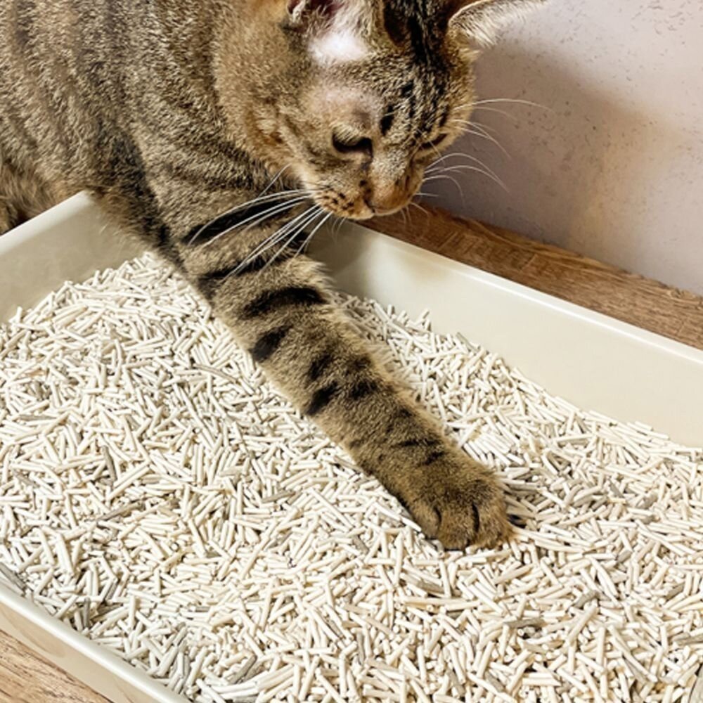 【六包免運】汪喵星球 益生菌消臭豆腐砂  米粒型/條型/花草砂 豆腐貓砂 汪喵星球豆腐砂『林口旗艦店』-細節圖3