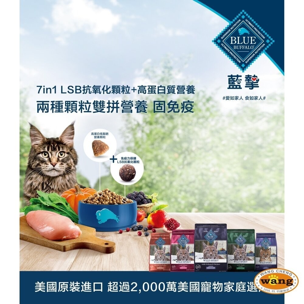 Blue Buffalo 藍摯 美國天然貓糧 全規格 高蛋白低脂 幼貓 全齡貓 貓飼料『林口旗艦店』-細節圖4