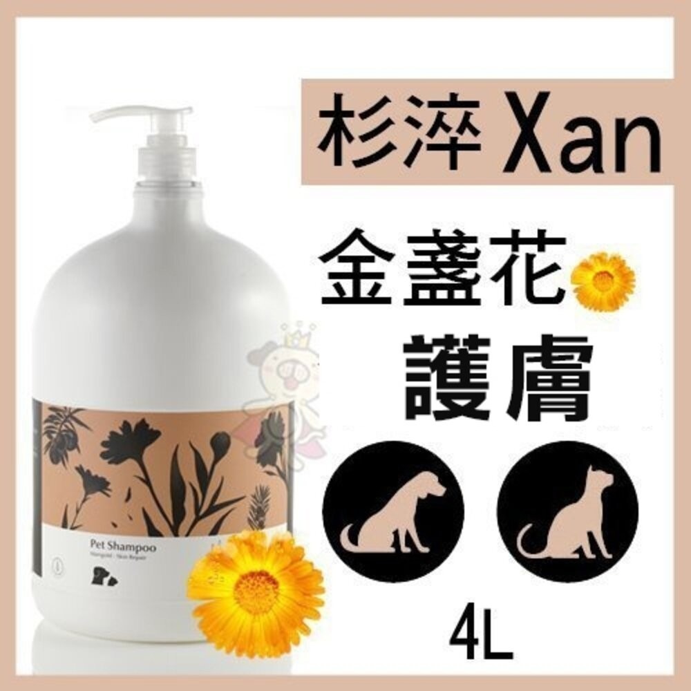 杉淬 金盞花護膚洗毛精4000ml