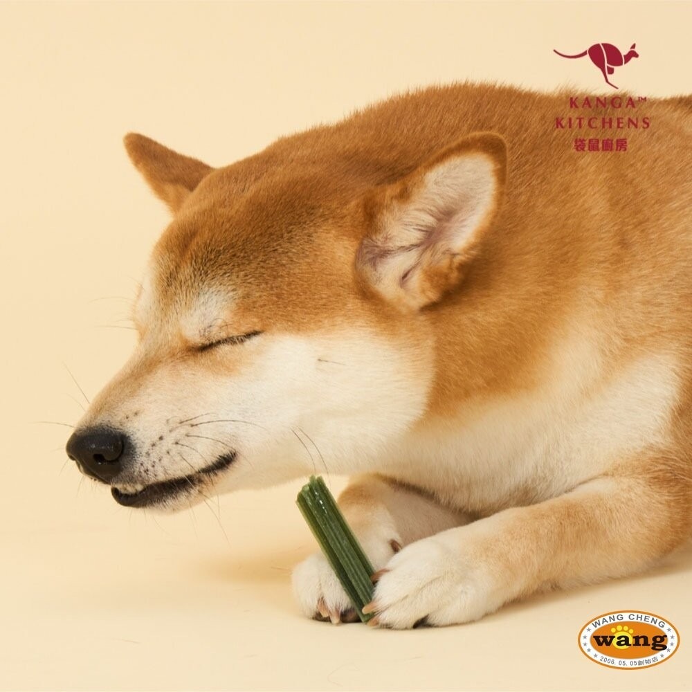 澳洲Kanga Kitchens 袋鼠廚房 三效袋鼠潔牙棒330g 罐裝 口齒清新 維持免疫力 關節養護 狗零食-細節圖3