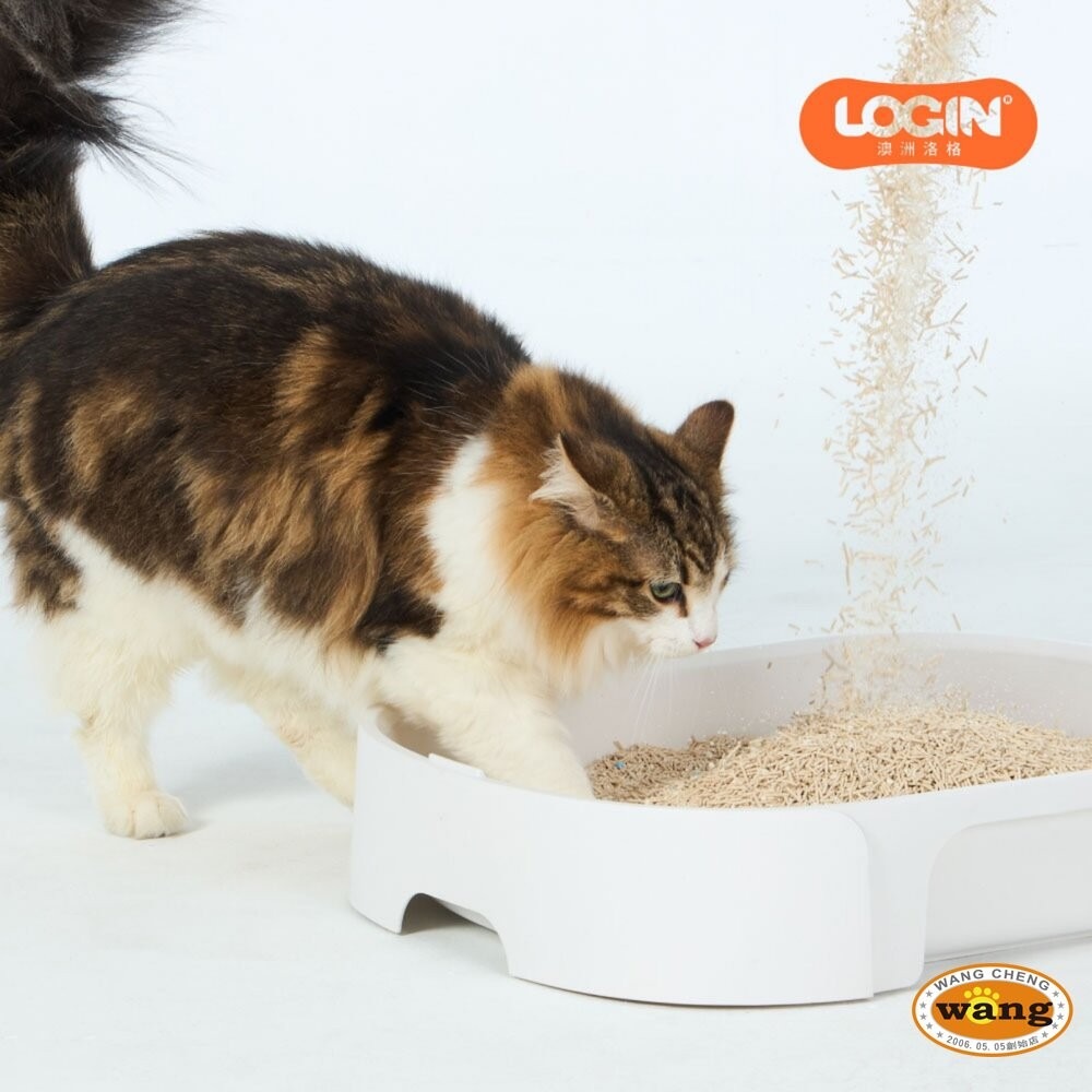Login 洛格 稻殼珍珠砂貓砂 2.5kg【單包】1.5mm 高分子吸水除臭顆粒 不黏底 可沖馬桶『林口旗艦店』-細節圖7
