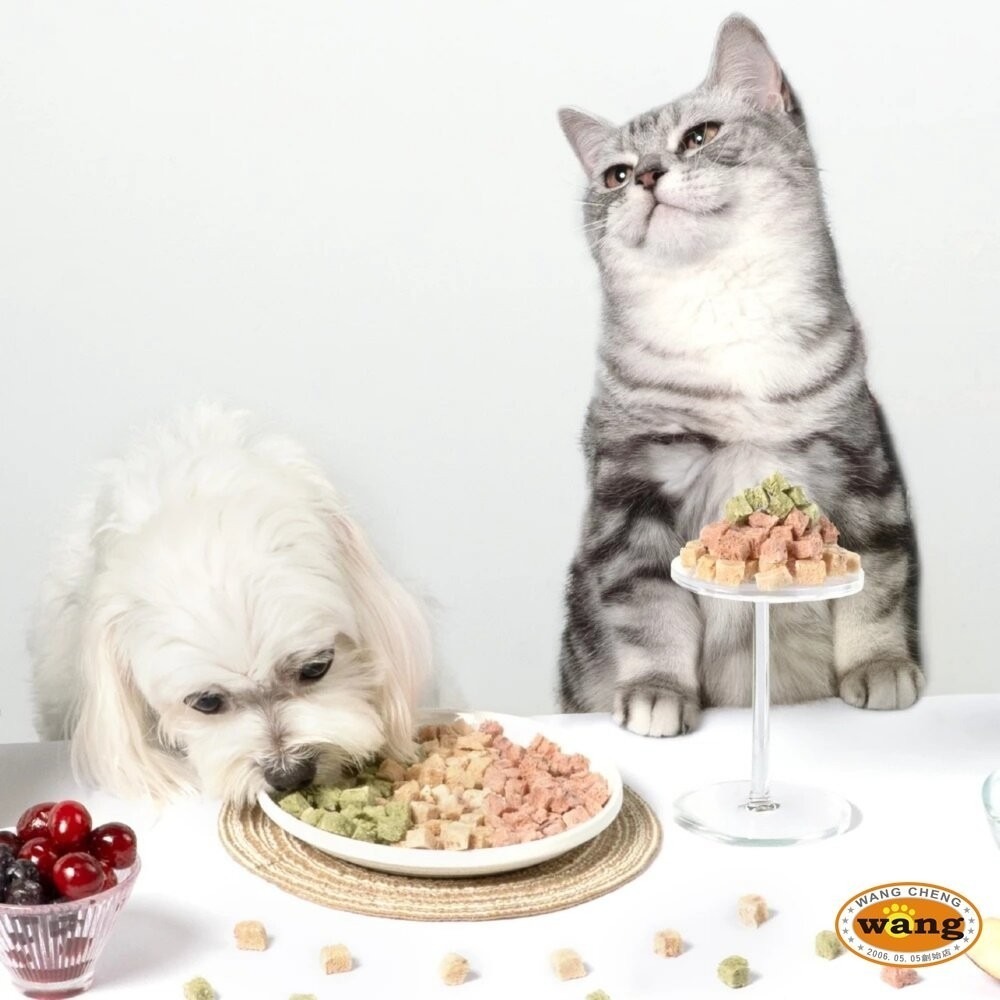 DogCatStar 汪喵星球 保健丁凍乾零食 20g 泌尿丁/排毛丁/口腔丁 犬貓零食 狗凍乾 貓凍乾『林口旗艦店』-細節圖6