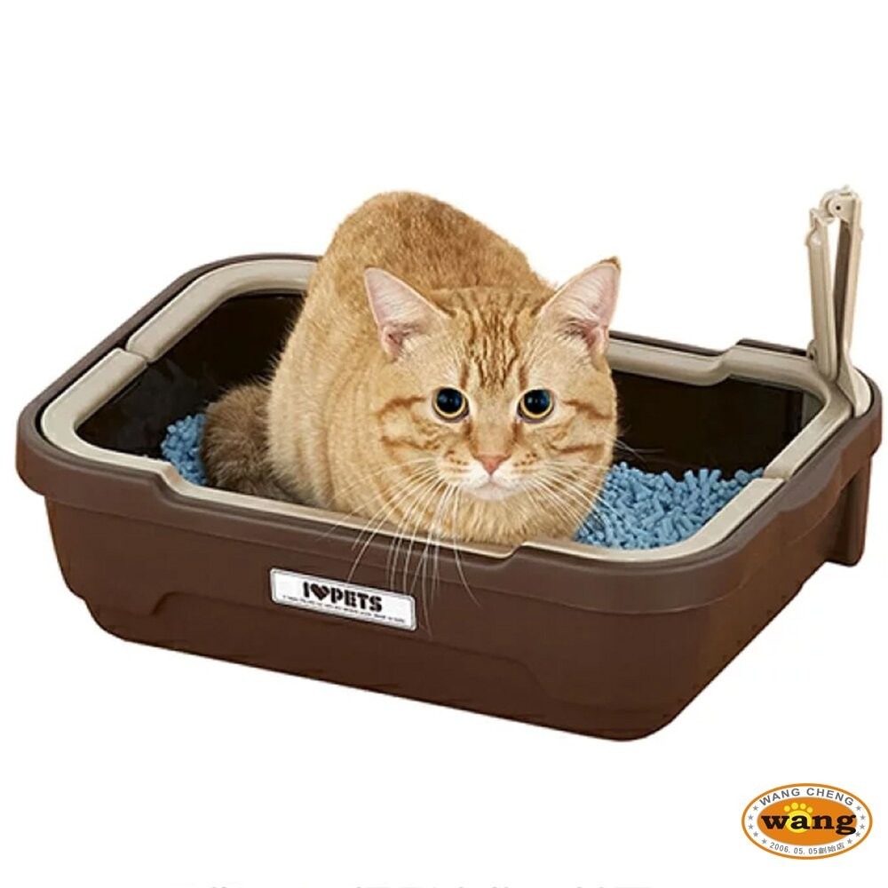 日本 Bonbi 樂樂雙層防護貓便盆 提籃式提籃式貓砂盆 貓廁所 貓便盆 貓砂盆『林口旗艦店』-細節圖5