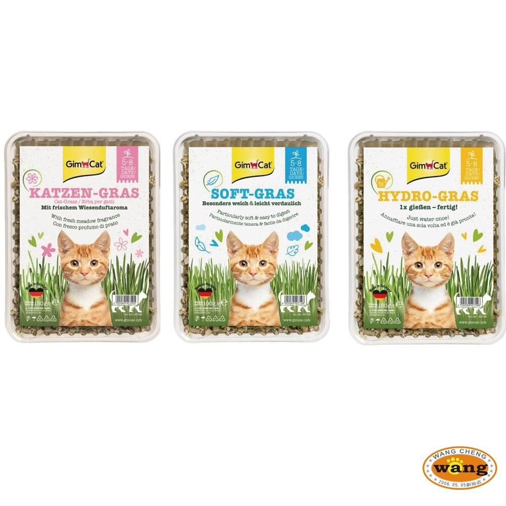 德國 竣寶 GIMBORN 軟貓草  田園草甸香大麥 一次澆水長效保濕貓草 盒裝 新鮮貓草『林口旗艦店』-細節圖2