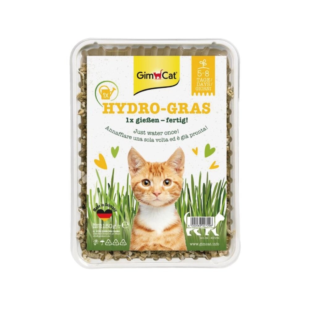 德國 竣寶 GIMBORN 軟貓草  田園草甸香大麥 一次澆水長效保濕貓草 盒裝 新鮮貓草『林口旗艦店』-規格圖3