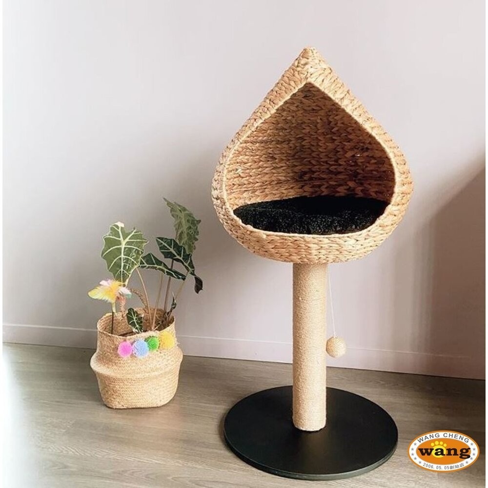 Martin 馬汀 天然布袋蓮編織 樹狀咖啡木貓跳台 貓抓柱 貓跳台 貓咪屋 貓屋  貓爬架 造型貓跳台『林口旗艦店』-細節圖3