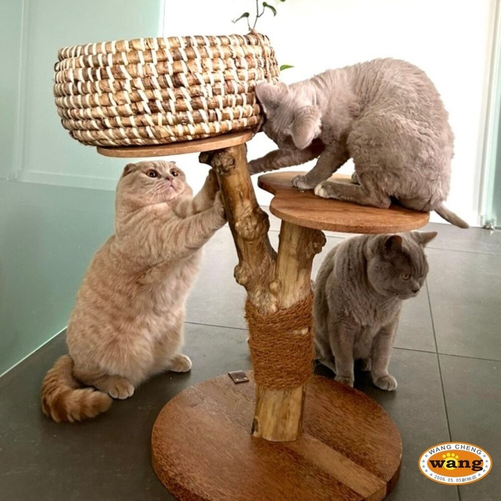 Martin 馬汀 天然布袋蓮編織 樹狀咖啡木貓跳台 貓抓柱 貓跳台 貓咪屋 貓屋  貓爬架 造型貓跳台『林口旗艦店』-細節圖6