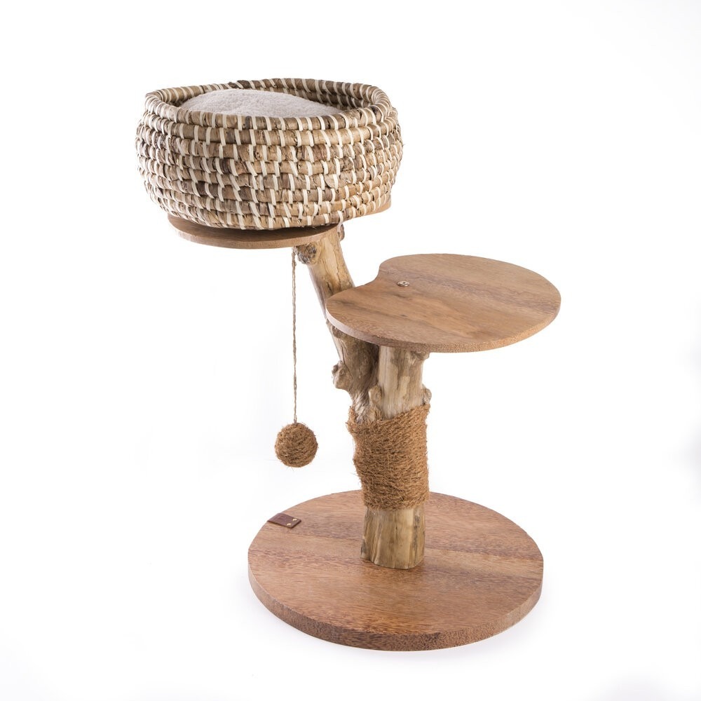 樹狀咖啡木貓跳台 60cm