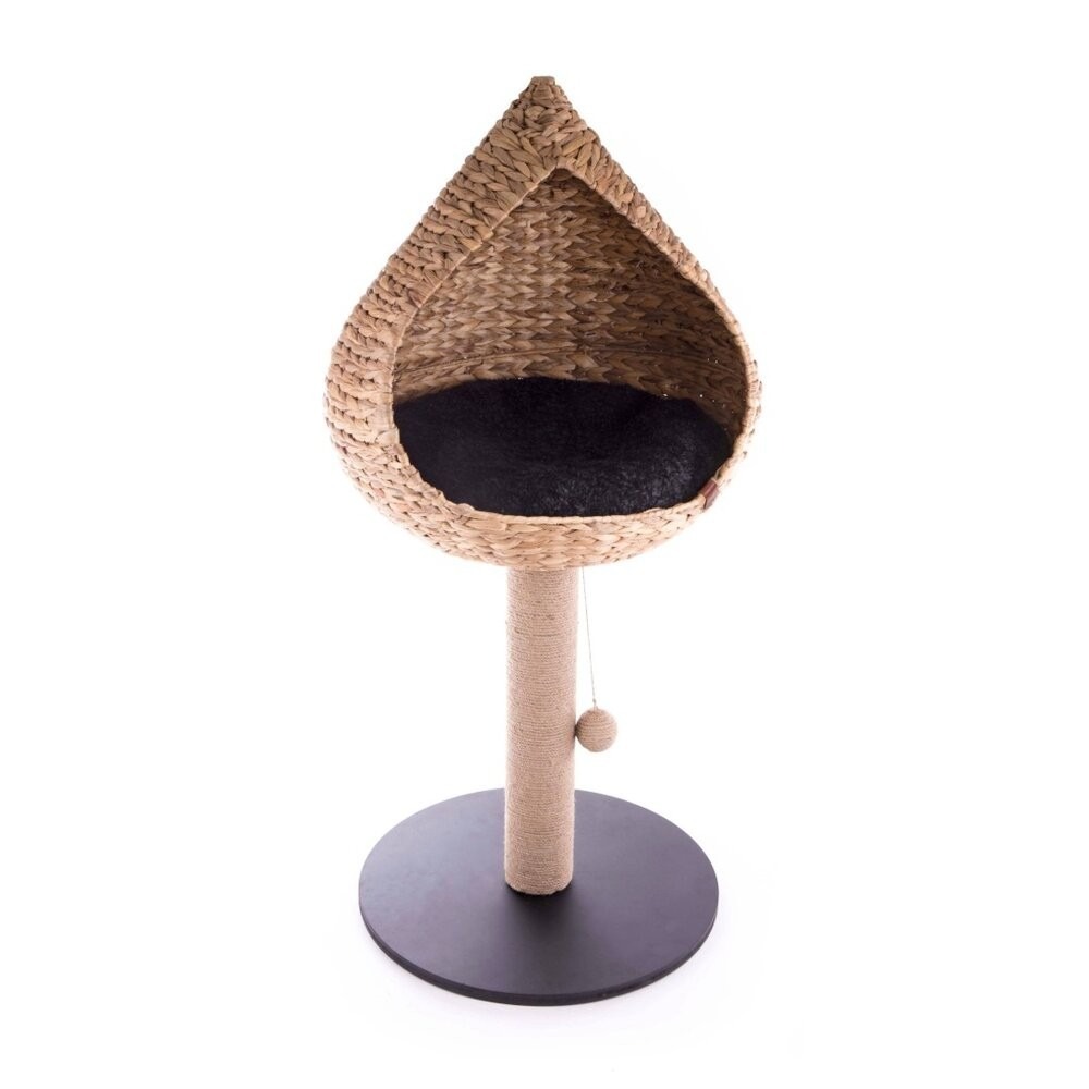 布袋蓮貓窩貓跳台