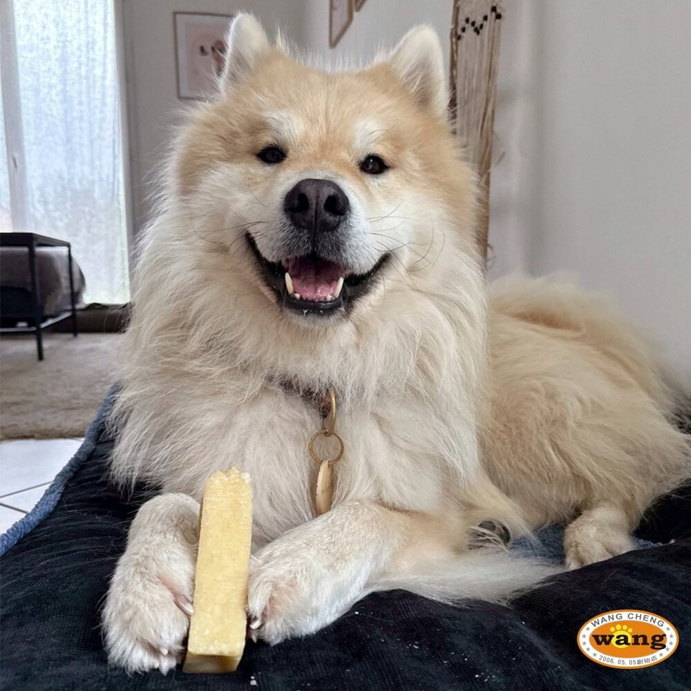 Martin 馬汀 比利時咬咬起司棒 磨牙起司 起司棒 犛牛起司  潔牙棒 犬用零食 狗零食 犬點心『林口旗艦店』-細節圖7