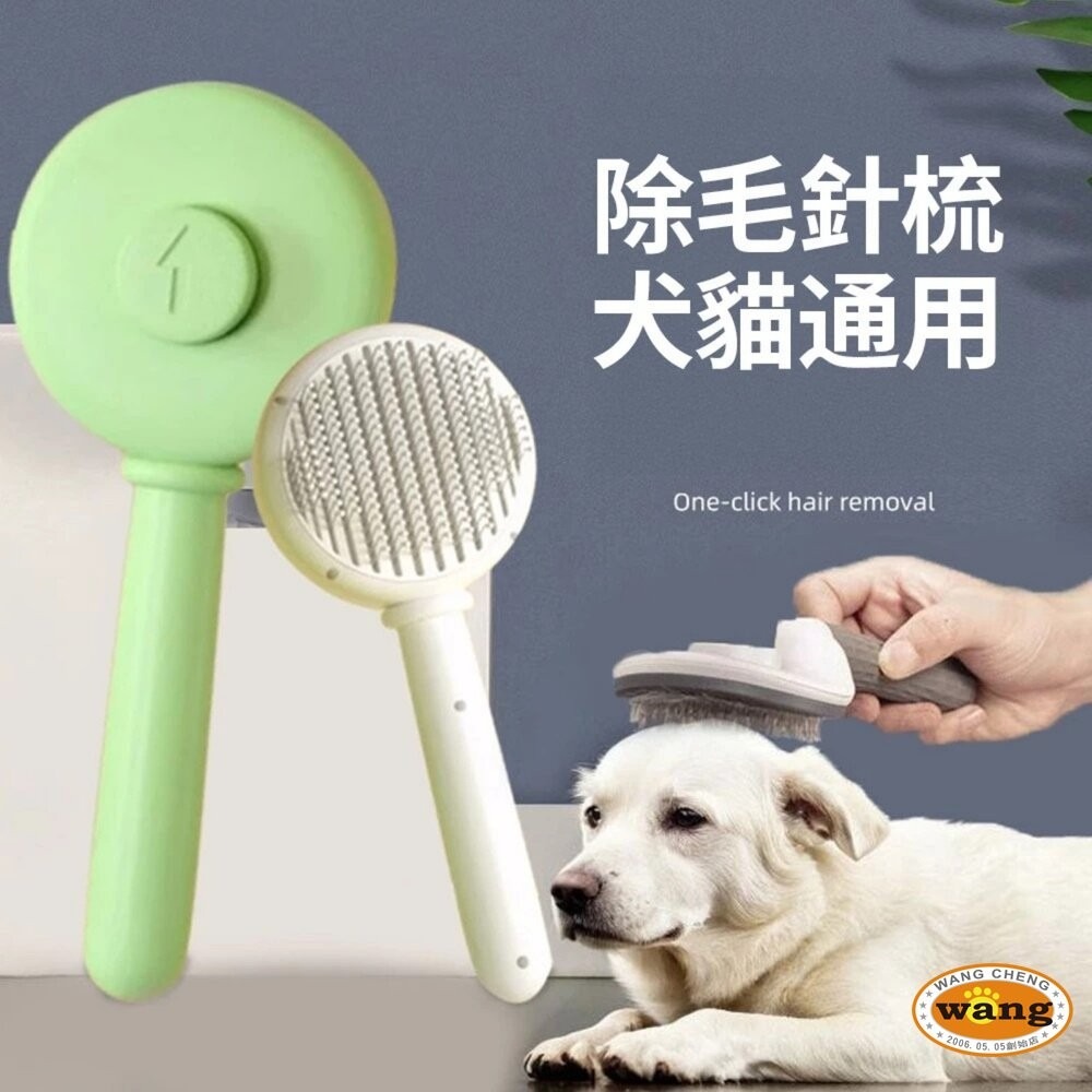 iCat 寵喵樂 圓形按摩針梳｜貓狗通用 寵物梳 按摩梳 一鍵除毛 去浮毛 除廢毛 理毛梳子 不打結『林口旗艦店』-細節圖7