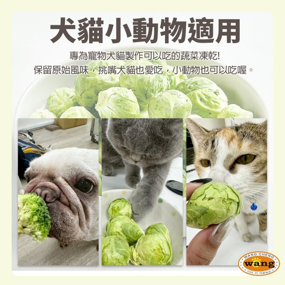 韓國寵物凍乾 蔬菜凍乾 綠花椰菜凍乾15g 高麗菜凍乾30g 蔬菜乾 狗凍乾 貓凍乾 倉鼠 小動物零食『林口旗艦店』-細節圖9