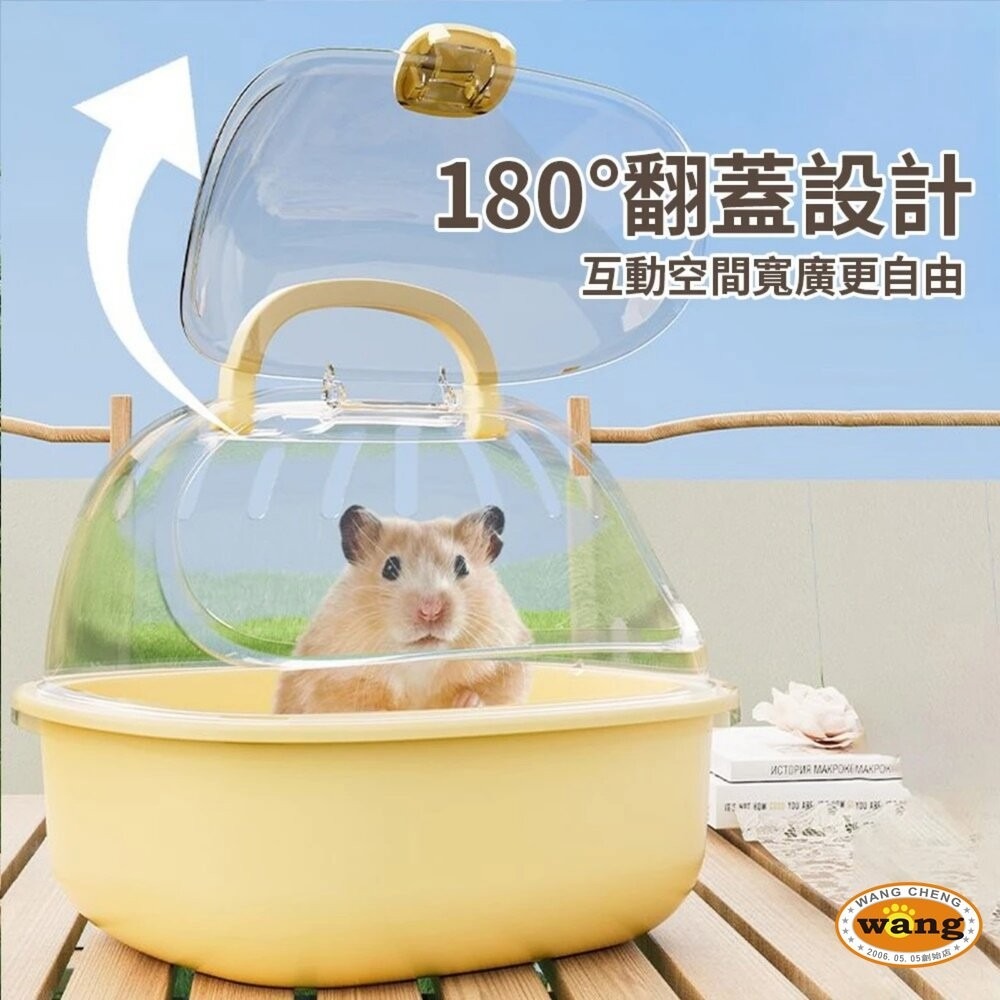 iCat 寵喵樂 透明外出便攜倉鼠籠子｜透明掀蓋 輕巧 輕便 倉鼠 小窩 外出籠『林口旗艦店』-細節圖7