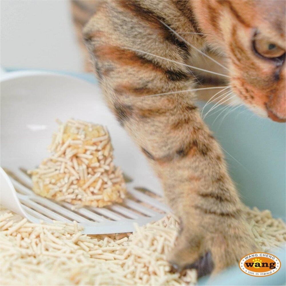 Nu4pet 陪心寵糧 豆砂包｜超凝結條型豆腐貓砂 6L 可沖馬桶 除臭貓砂 無粉塵貓砂 貓砂『林口旗艦店』-細節圖5