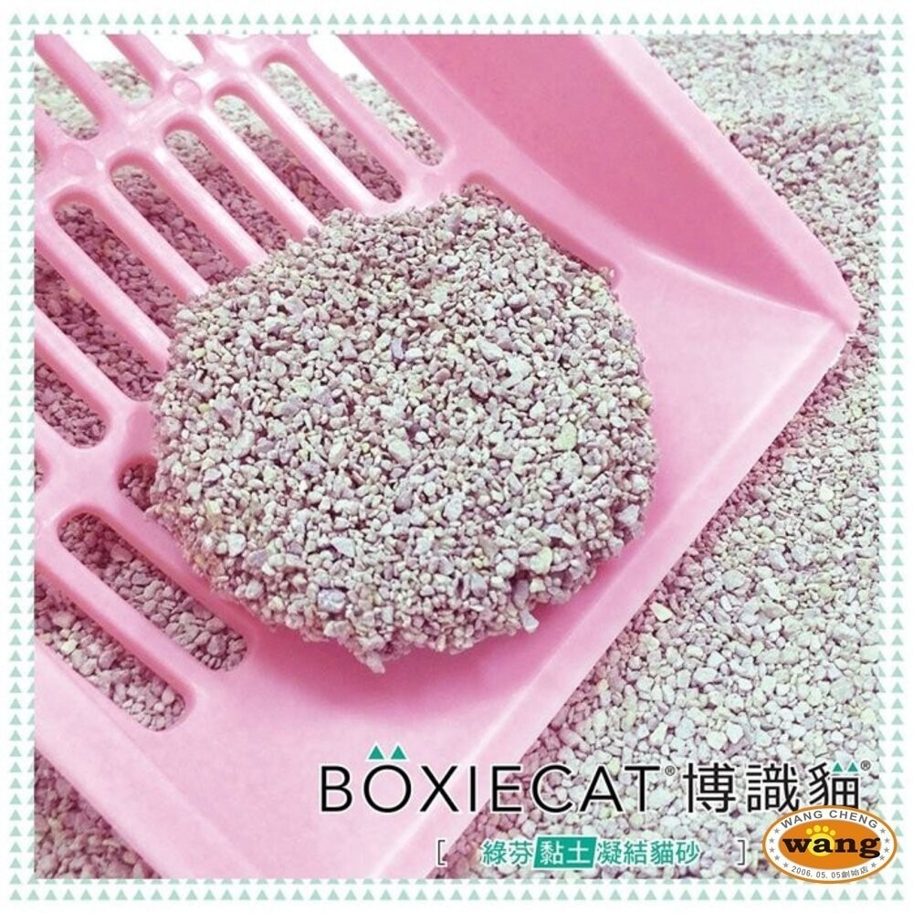 BOXIECAT 博識貓 貓砂【三包組免運】黏土凝結貓砂 Air超植砂 專利凝結生物砂『林口旗艦店』-細節圖8