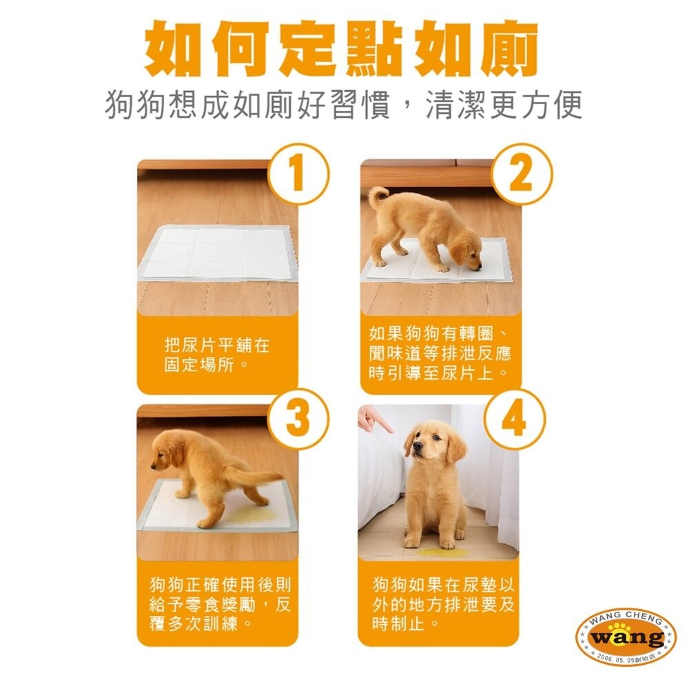 Ms.pet 厚吸尿布墊  高效除臭尿布墊【4包組免運】 狗尿布墊 超強吸收力 尿布墊 犬用尿墊『林口旗艦店』-細節圖8