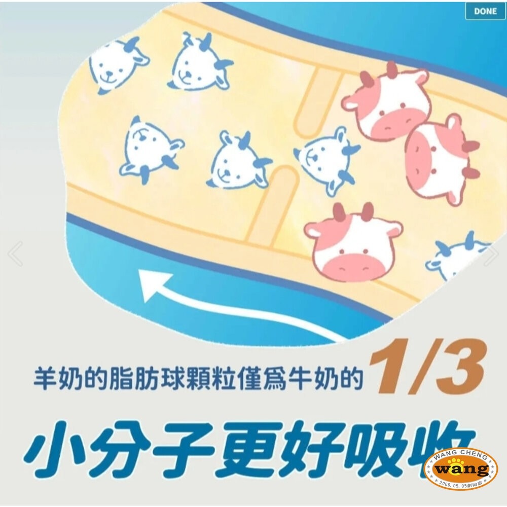 BLUE BAY 倍力 犬貓奶粉 頂級羊奶粉 貓寶樂 幼貓專業代奶 易沖泡 易消化 寵物奶粉 『林口旗艦店』-細節圖4