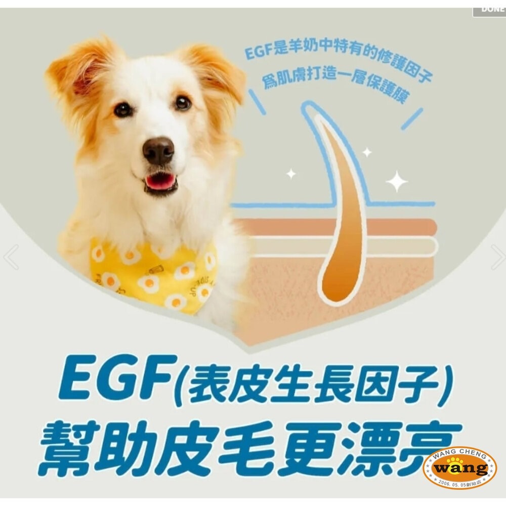 BLUE BAY 倍力 犬貓奶粉 頂級羊奶粉 貓寶樂 幼貓專業代奶 易沖泡 易消化 寵物奶粉 『林口旗艦店』-細節圖5