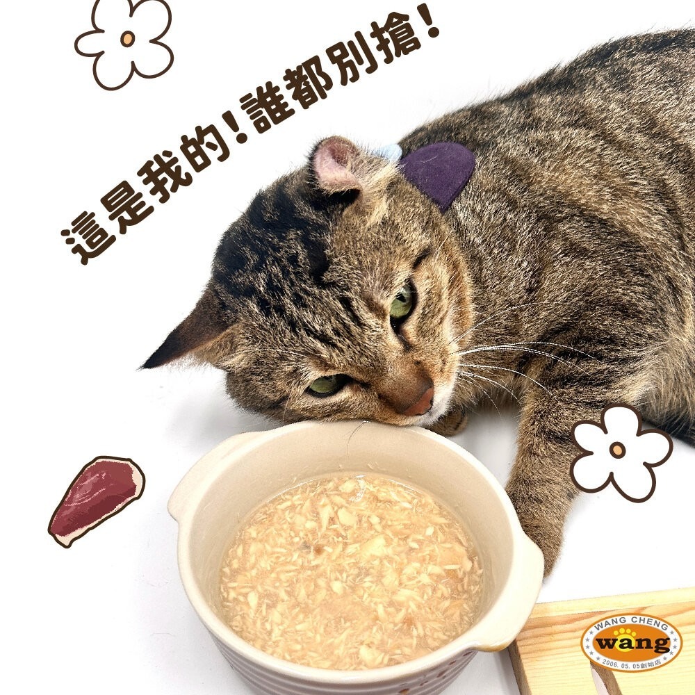 T.N.A.悠遊 厚肉肉有料湯肉貓罐【24罐組】 80g 湯罐 鮮肉罐 補水罐 貓罐頭『林口旗艦店』-細節圖6