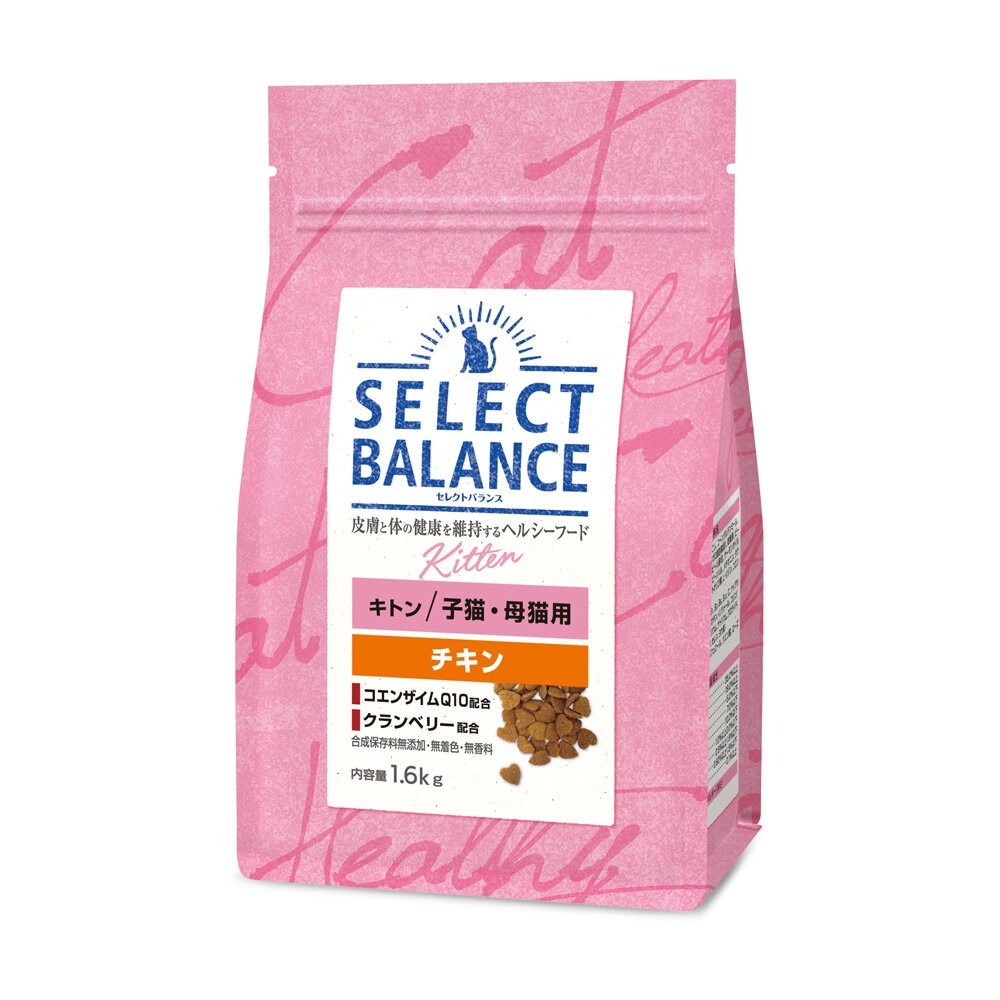 SB幼貓呵護成長