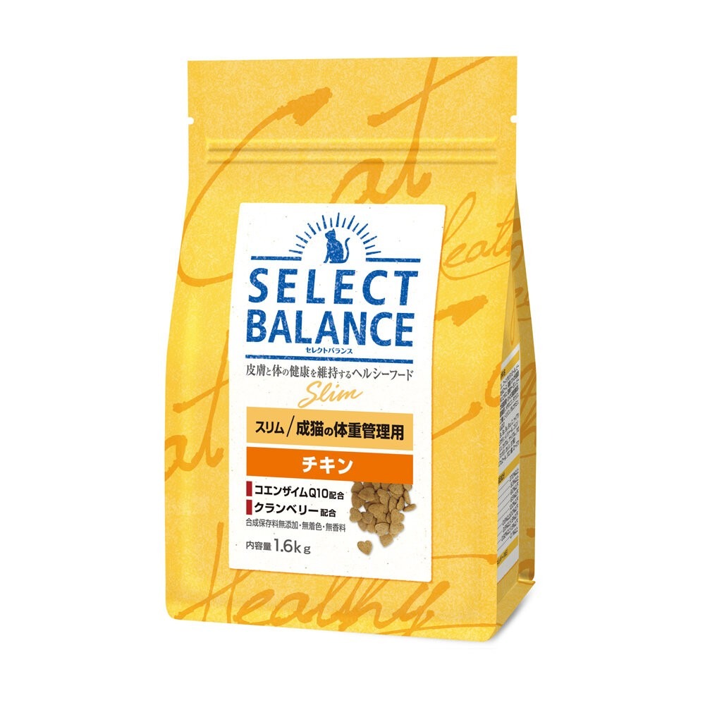 SB室內成貓化毛