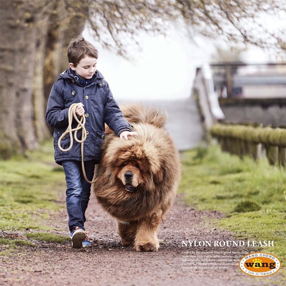 Martin 馬汀 輕量基本款圓牽繩｜狗牽繩 S-L號 台灣製造 犬用牽繩 狗狗牽繩 寵物牽繩『林口旗艦店』-細節圖3