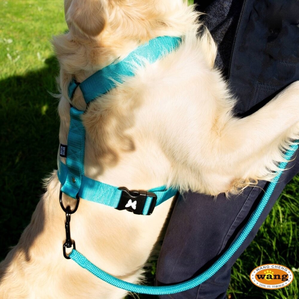 Martin 馬汀 輕量基本款圓牽繩｜狗牽繩 S-L號 台灣製造 犬用牽繩 狗狗牽繩 寵物牽繩『林口旗艦店』-細節圖4