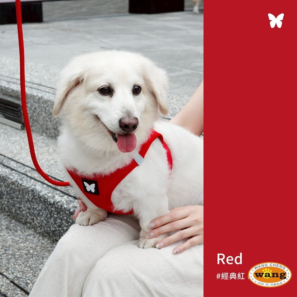 Martin 馬汀 輕量基本款圓牽繩｜狗牽繩 S-L號 台灣製造 犬用牽繩 狗狗牽繩 寵物牽繩『林口旗艦店』-細節圖5