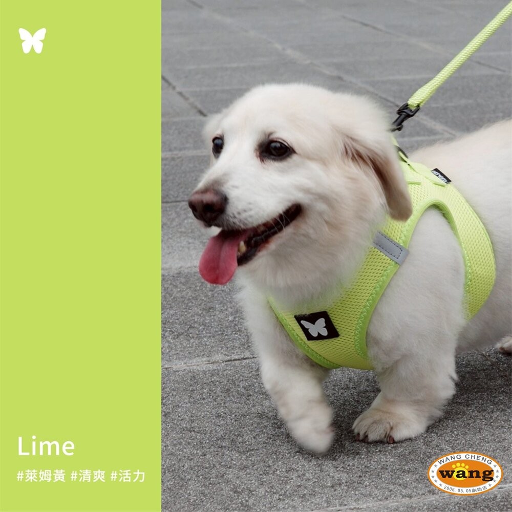 Martin 馬汀 輕量基本款圓牽繩｜狗牽繩 S-L號 台灣製造 犬用牽繩 狗狗牽繩 寵物牽繩『林口旗艦店』-細節圖6