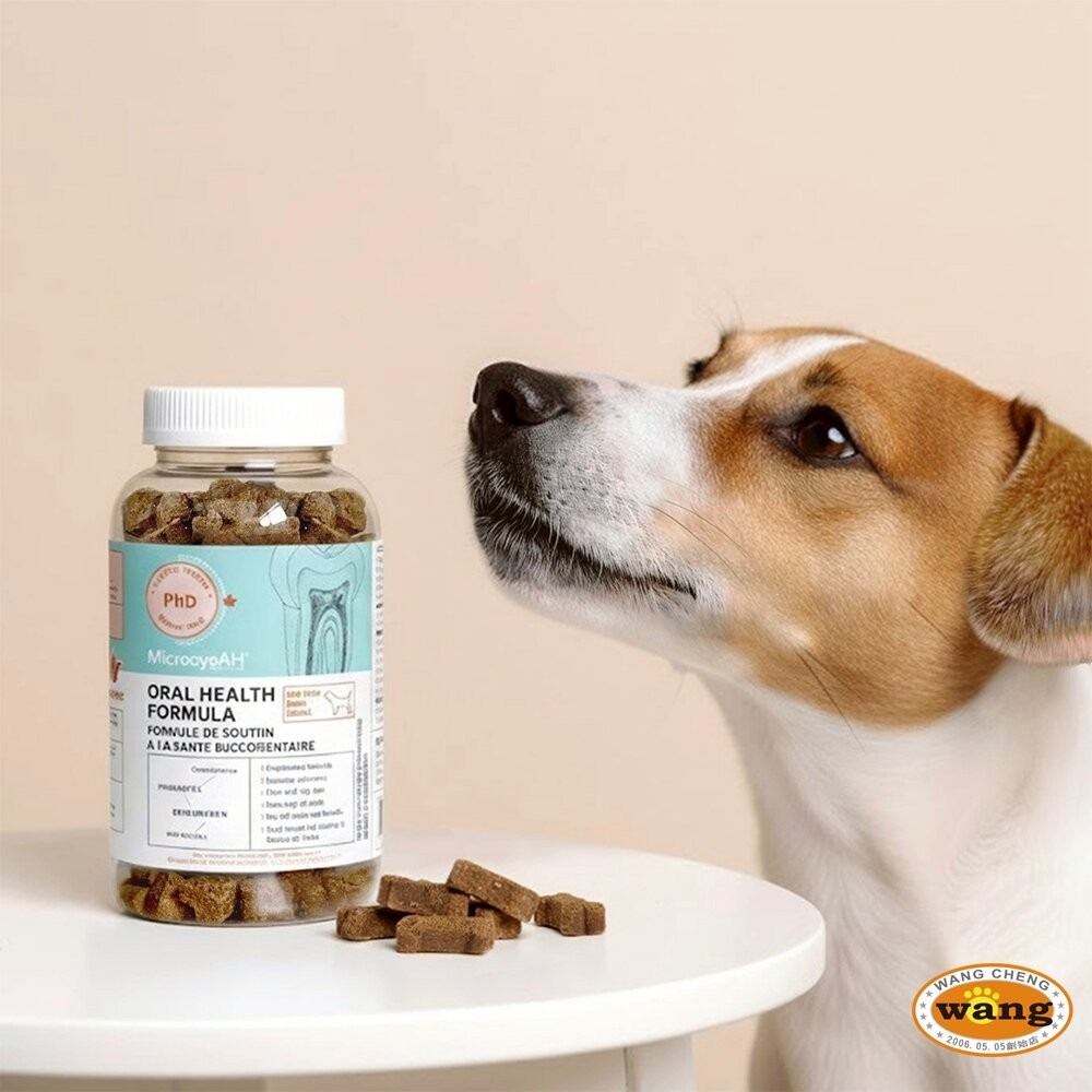 MicrocynAH 麥高臣 犬貓保健軟嚼肉塊 益健腸 益健毛 益健齒 寵物保健品 寵物保健零食 狗零食 貓零食-細節圖5