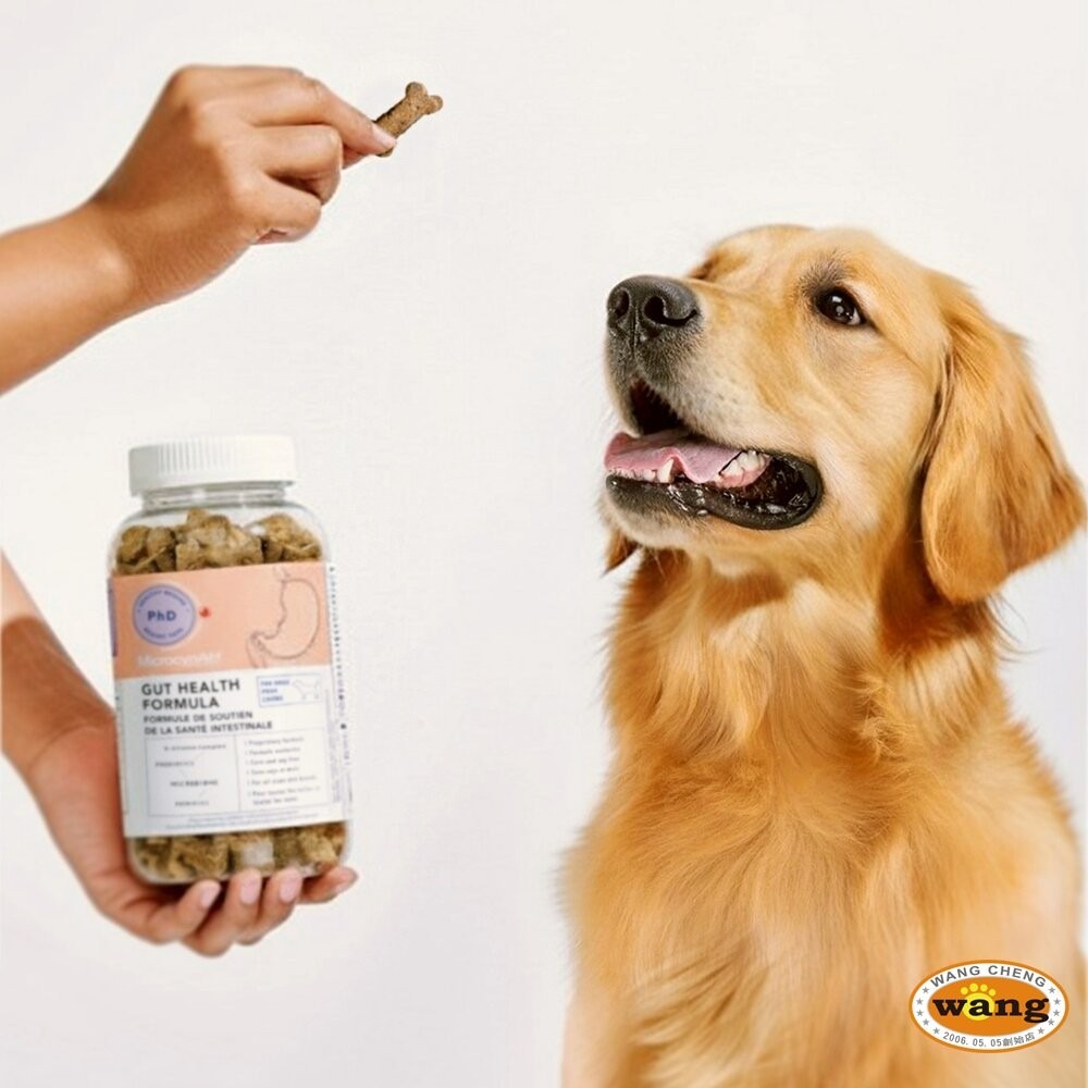 MicrocynAH 麥高臣 犬貓保健軟嚼肉塊 益健腸 益健毛 益健齒 寵物保健品 寵物保健零食 狗零食 貓零食-細節圖7