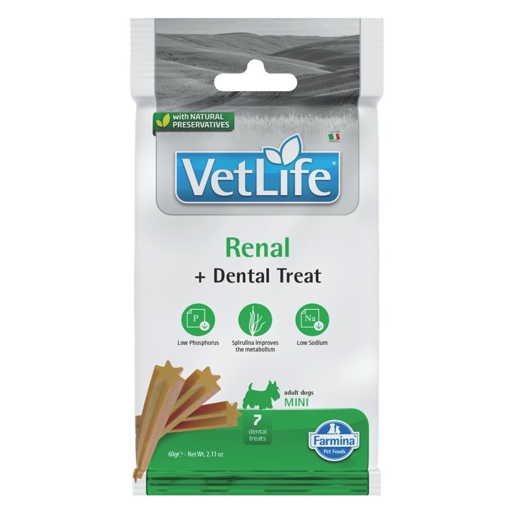 V041處方-腎臟配方