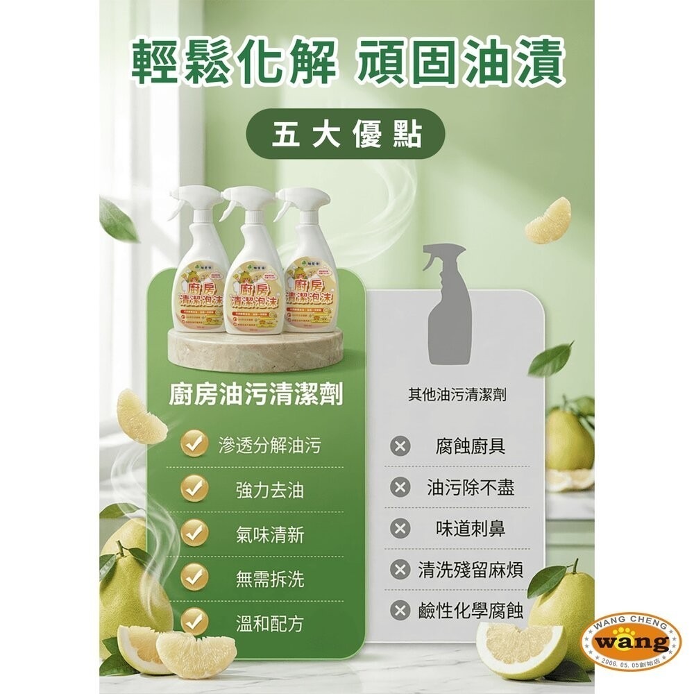 柚享淨 文旦酵素柚淨plus除油泡沫500ml(流理台清潔/油污清潔/泡沫包覆/亮潔去污/去油不費力)-細節圖7