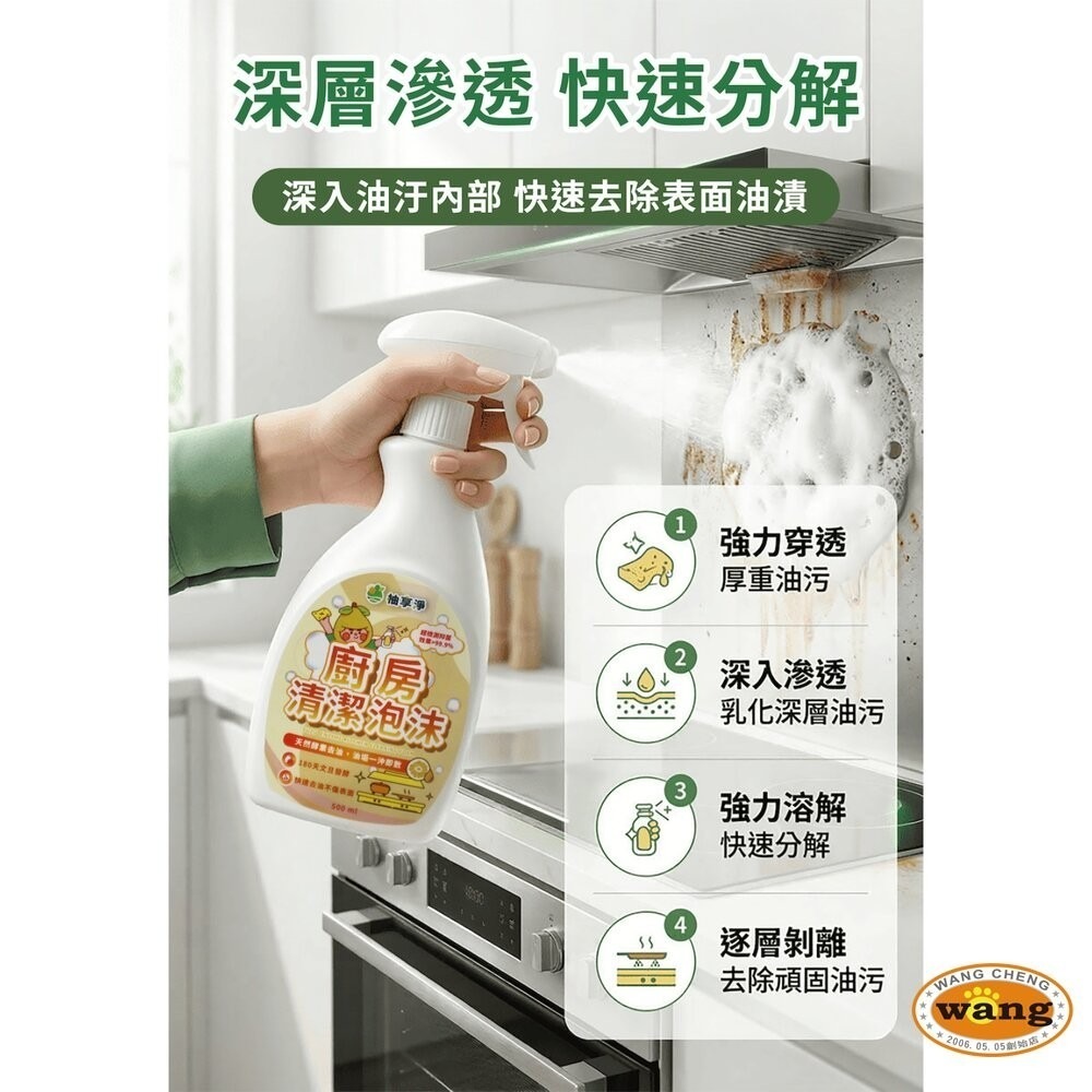 柚享淨 文旦酵素柚淨plus除油泡沫500ml(流理台清潔/油污清潔/泡沫包覆/亮潔去污/去油不費力)-細節圖8